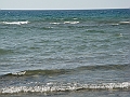Western Michigan [2010] 873